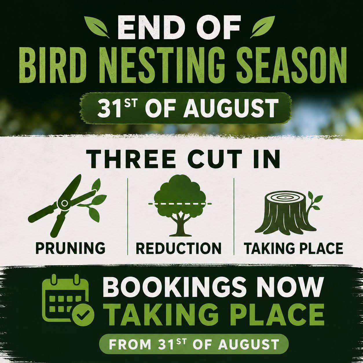 End of bird nesting season 31st of August — pruning, reduction and stump work bookings now being taken