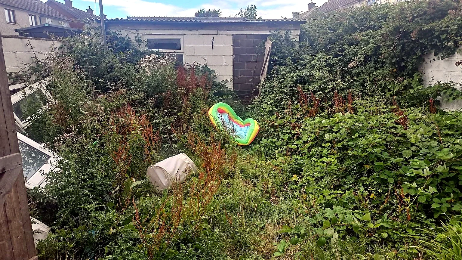 Overgrown rear garden before clearance